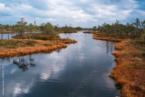 Top view of two wooden chairs by the lake of the Kemeri National Park