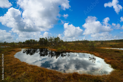 Top view of the swamps of the Kemeri National Park
