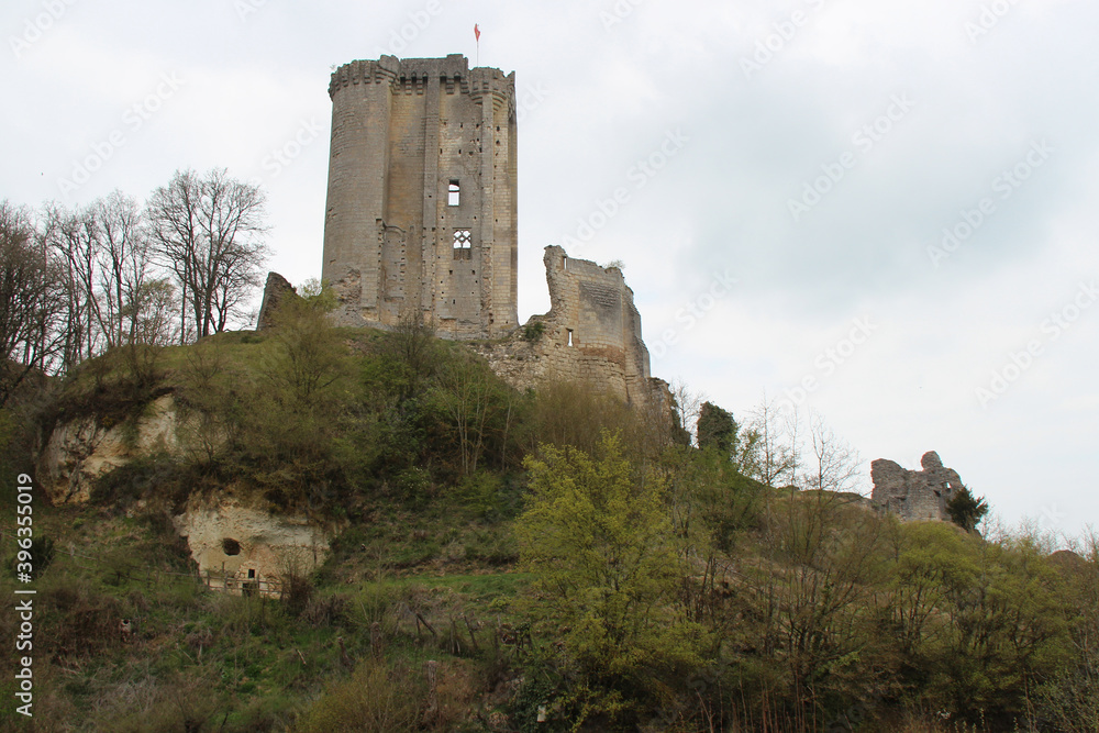 ruined medieval castle in lavardin (france)