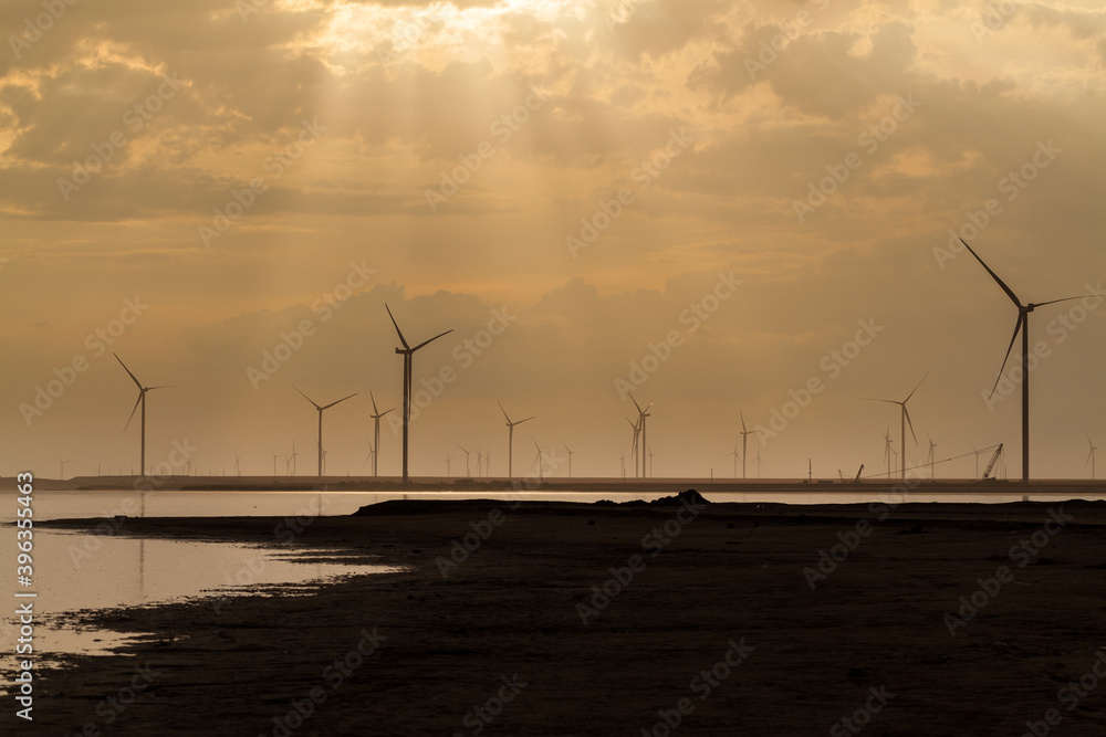 Group of wind turbines on the coastline.
