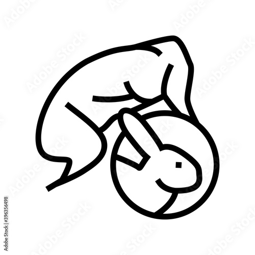 rabbit meat carcass line icon vector. rabbit meat carcass sign. isolated contour symbol black illustration