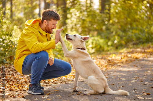 Obraz na plátně side view on friendly man playing with dog in the nature, smiling guy spend time