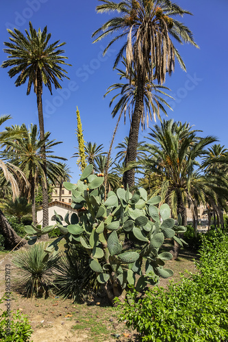 Wallpaper Mural Park Villa near Cathedral of Palermo - 30,000 m2 Public Park founded in second half of XIX century. Park Villa characteristic are lush palm trees. Palermo, Sicily, Italy. Torontodigital.ca