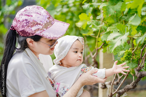 Asian cute baby girl carried by her young mother enjoying the view in the vineyard