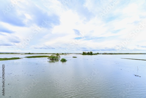 Thale Noi Wetlands in Phatthalung Province, Thailand