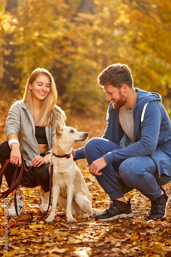 man and woman play with kind white pet dog in the forest, at countryside, autumn sunny day. yellow orange trees and leaves around them. people and animals concept © alfa27