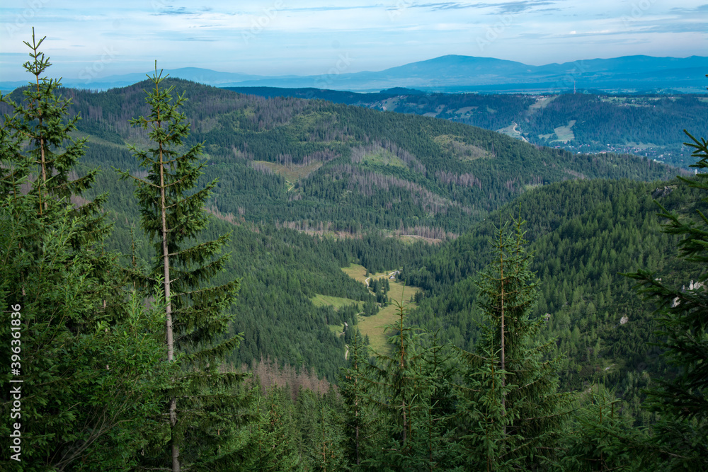 View on hiking trail in Dolina Jaworzynki in Tatras surrounded by forest, Malopolskie, Poland
