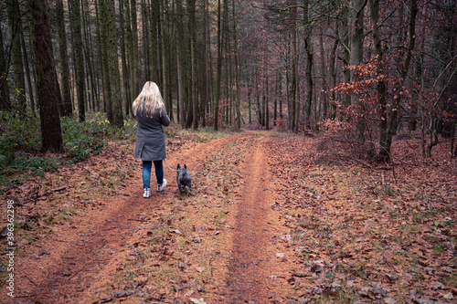 Blonde woman with French Bulldog on a dog walk through reddish coniferous forest - therapy dog