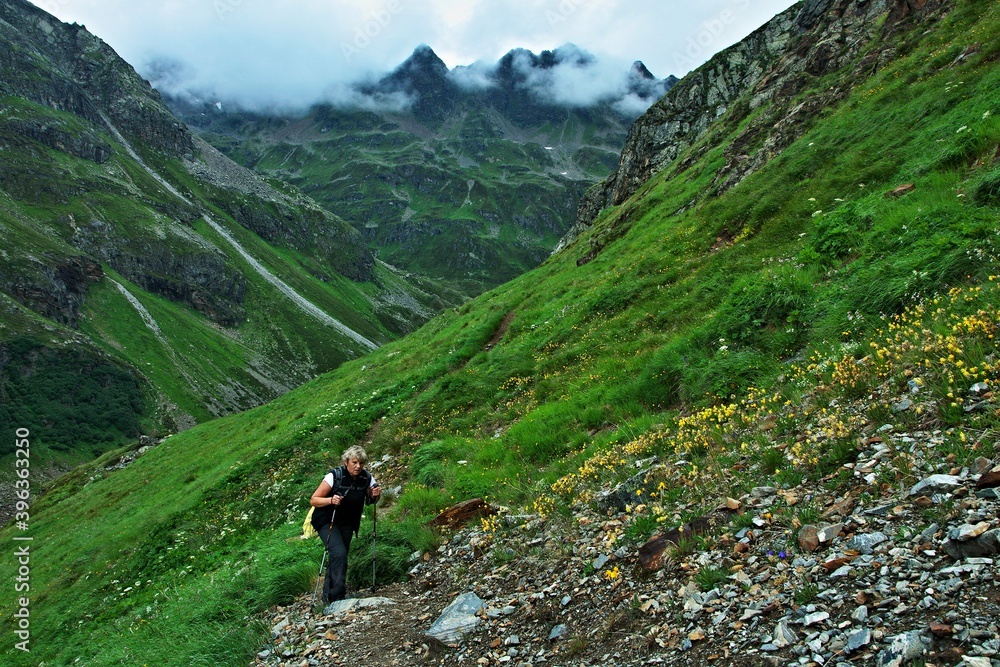 Alps-view on the tourist in valley Ochsental Alps-view on the tourist in valley Ochsental