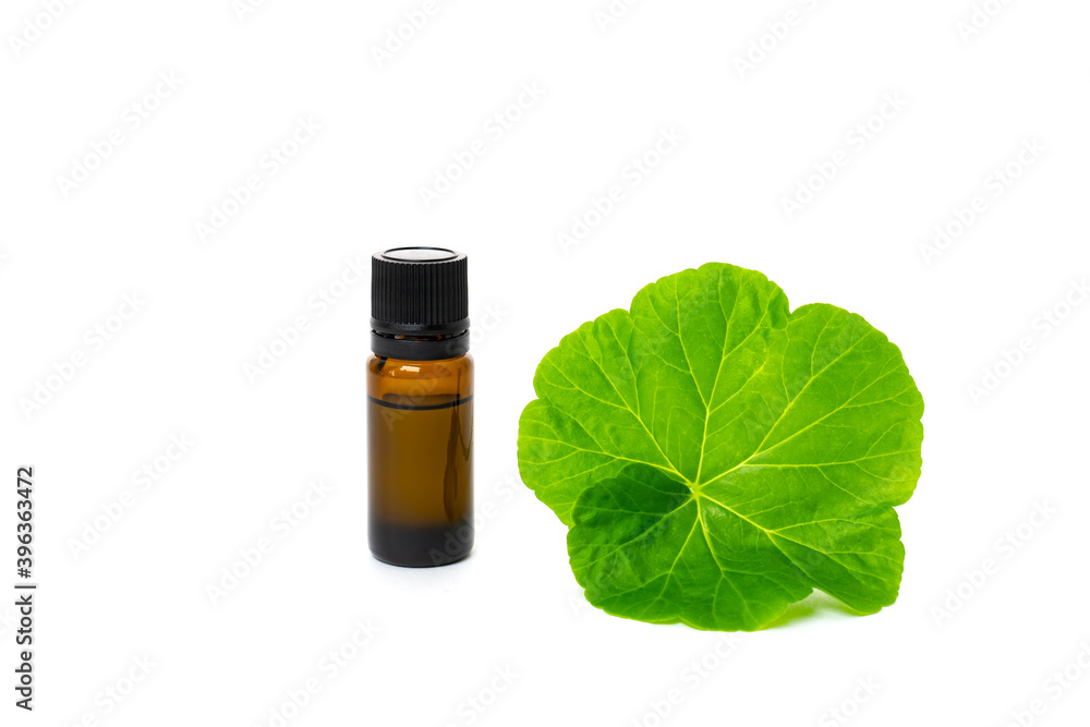 Bottle of natural essential geranium oil with green geranium leaf, isolated on white background. Bottle of natural essential geranium oil with green geranium leaf, isolated on white background.