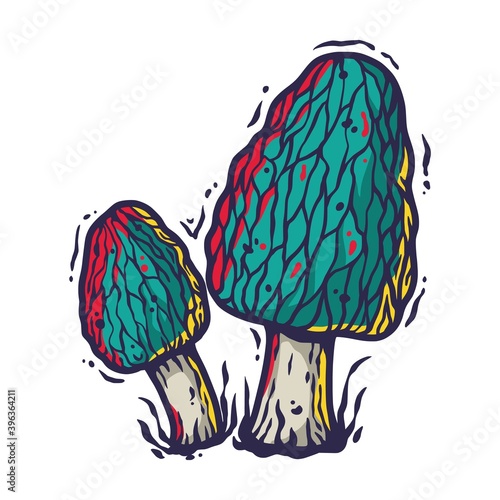 Vector illustration of morel. Autumn mushroom picking for vegan food and cooking design