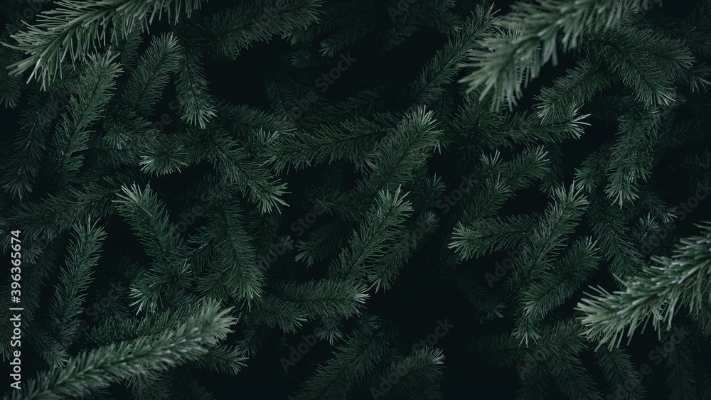 Christmas tree - conifer backround I. Christmas tree - conifer backround I.