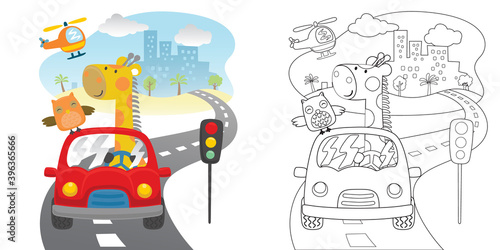 cartoon of funny bear with owl on red car in the road, coloring book or page