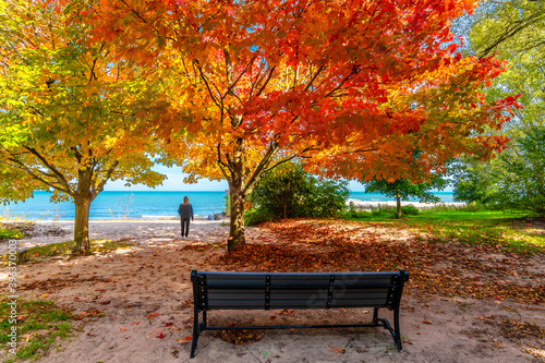 Autumn colors in Wilmette park in Illinois photo