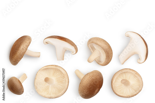 Fresh Shiitake mushroom isolated on white background with clipping path. Top view with copy space for your text. Flat lay