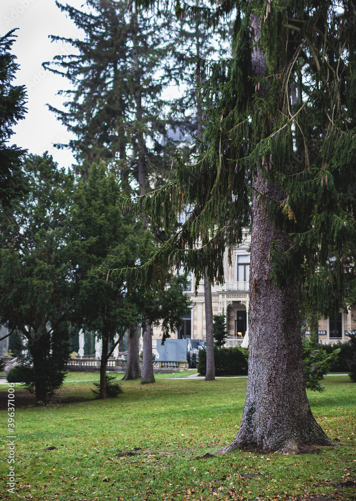 Fototapeta premium Bäume vor Hermes-Villa