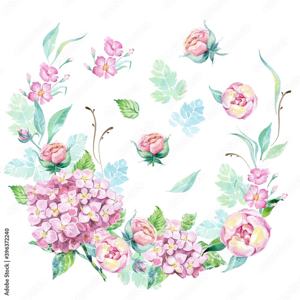 hydrangea flowers painted in watercolor