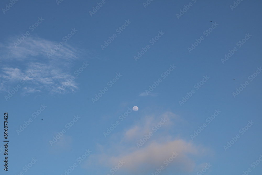Luna en el amanecer Luna en el amanecer