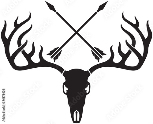 vector deer skull with horns and crossed arrows