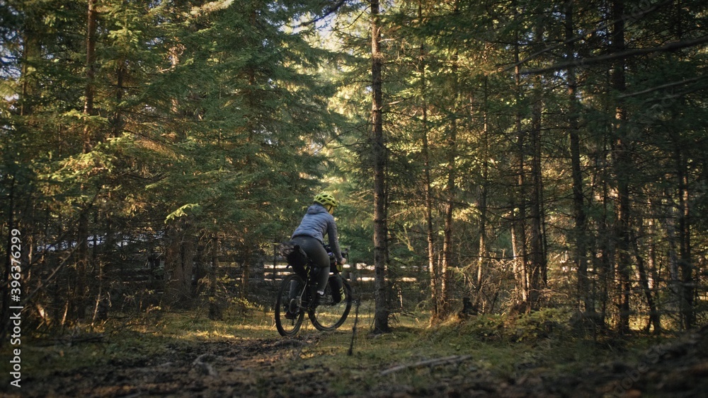 Naklejka premium The woman travel on mixed terrain cycle touring with bike bikepacking. The traveler journey with bicycle bags. Magic forest park.