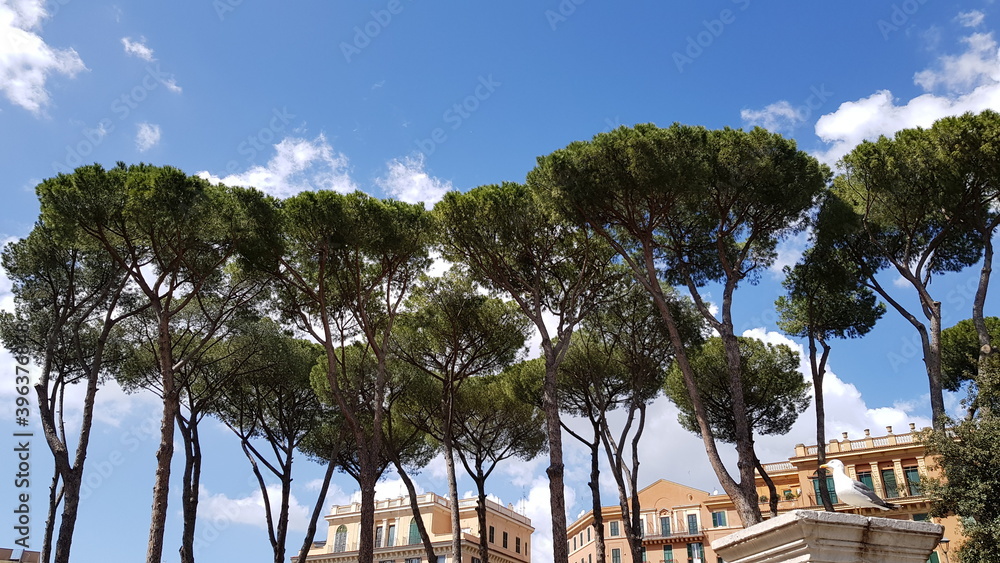 Fototapeta premium Beautiful Rome