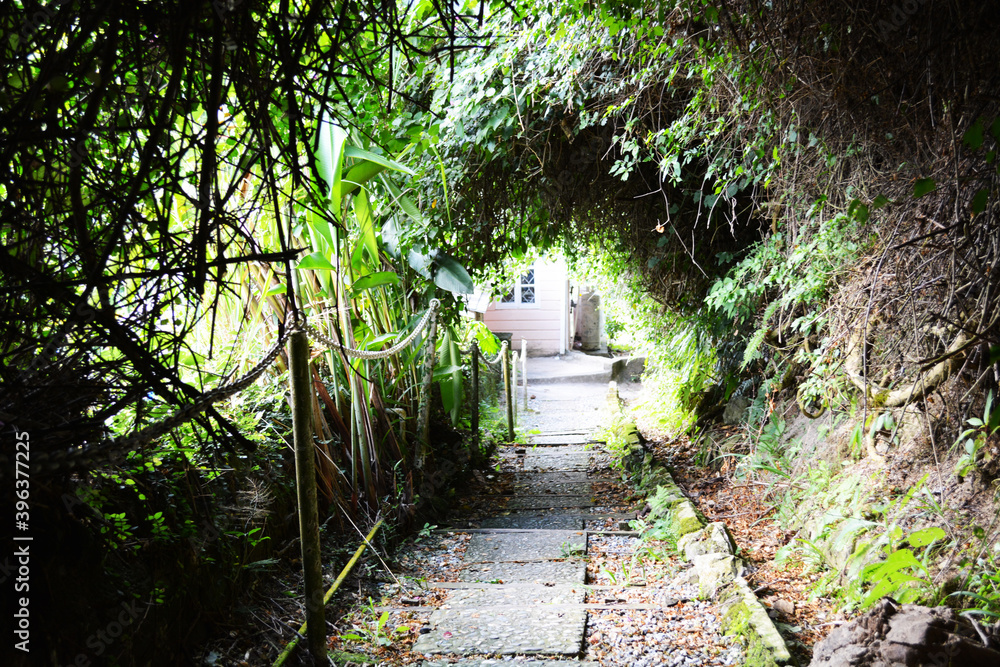 Obraz premium tunnel in the park
