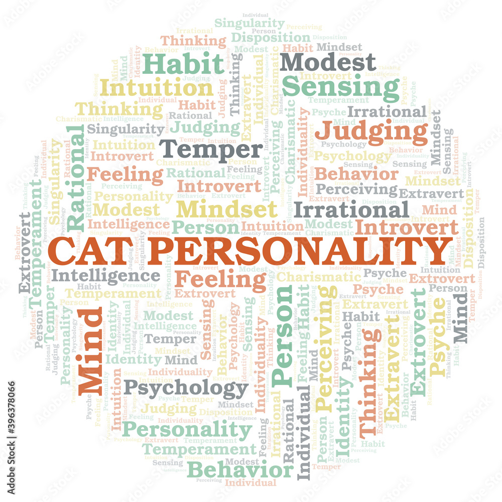 Fototapeta premium Cat Personality typography word cloud create with the text only.