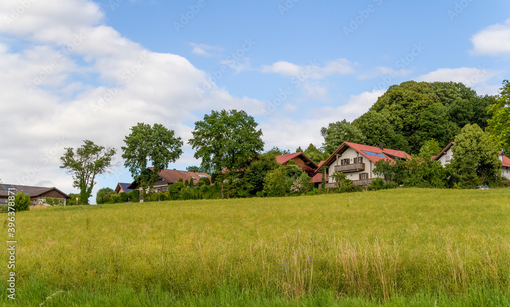 Bavarian Forest scenery