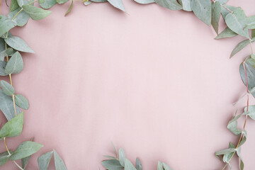 eucalyptus branches on a beige background. Flat lay. top view. copy space. closeup. 