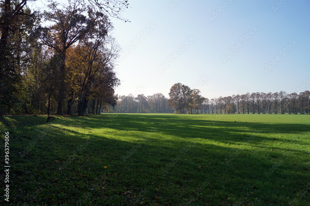 Panorama autunnale di campagna con ombre di alberi sul prato verde e cielo azzurro al limitare del bosco, luce decisa, ombre 
