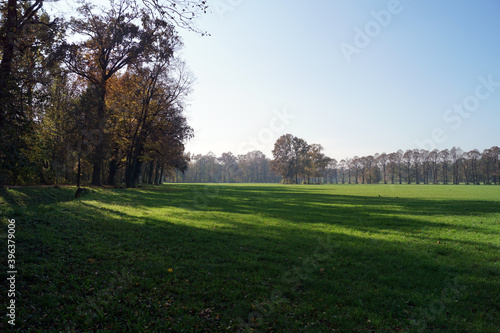 Panorama autunnale di campagna con ombre di alberi sul prato verde e cielo azzurro al limitare del bosco, luce decisa, ombre 