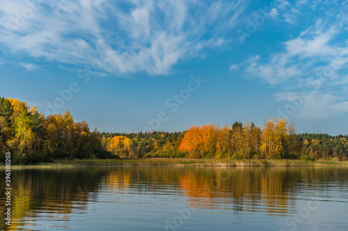 Fototapeta Naklejka Na Ścianę i Meble -  autumn forest with yellow trees on the lake shore