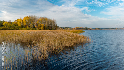 autumn landscape with lake