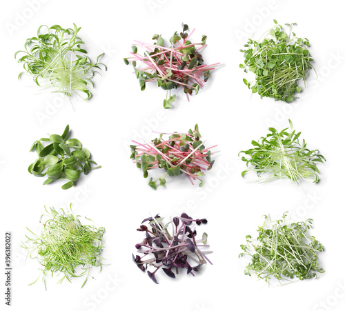 Set of different fresh microgreens on white background