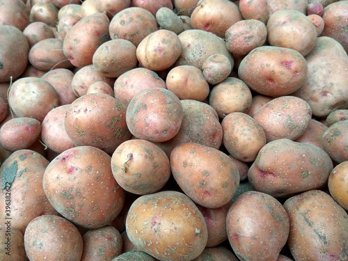 Freshly picked potatoes as a background
