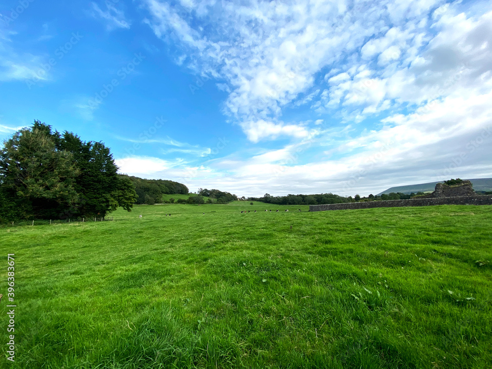 Extensive lush meadow, with trees and hills in the distance in, Sawley, Bolton by Bowland, Clitheroe, UK Extensive lush meadow, with trees and hills in the distance in, Sawley, Bolton by Bowland, Clitheroe, UK
