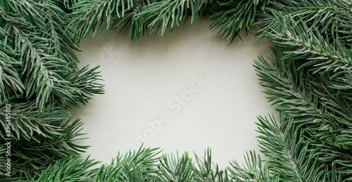 Fir branches border on white background  good for christmas backdrop