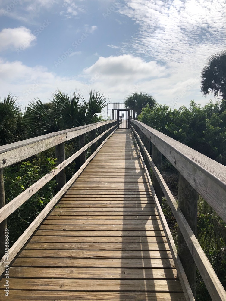 Fototapeta premium beach walk