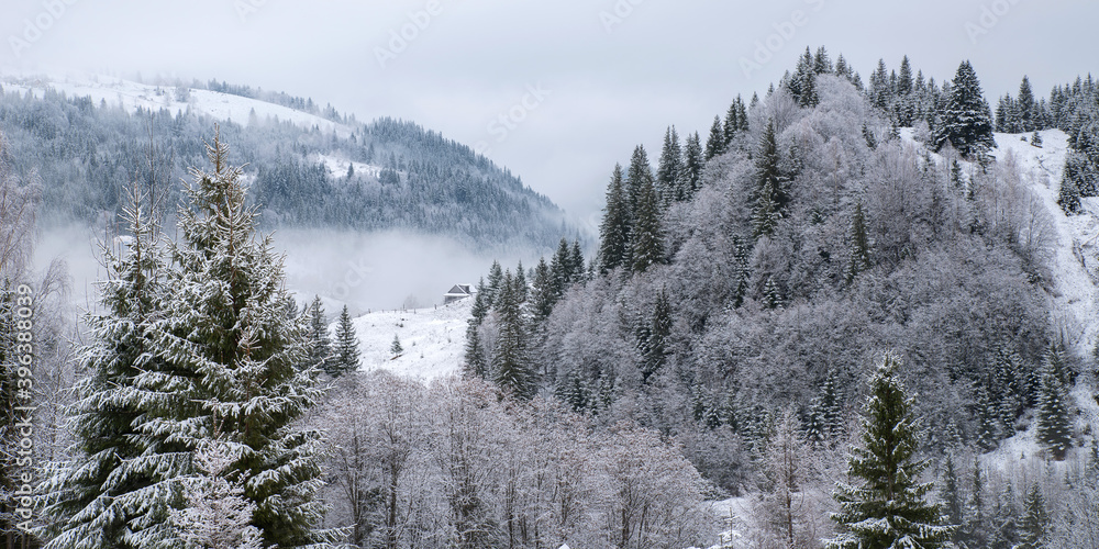 Winter trees in the mountains, covered with fresh snow and frost. Foggy winter landscape.
