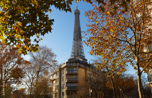 The Eiffel Tower with autumn leaves in Paris, France © kovalenkovpetr