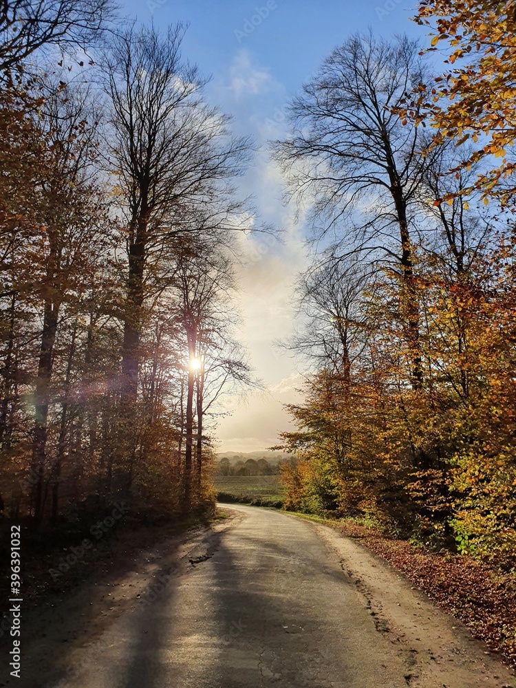 Obraz premium Herbststimmung in Schleswig - Holstein