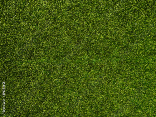 Green grass texture close up