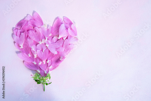 Fotografia Heart of pink mallow petals on a light background with space for text