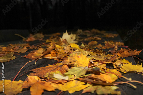Yellow autumn leaves on a wooden park table at night  close up
