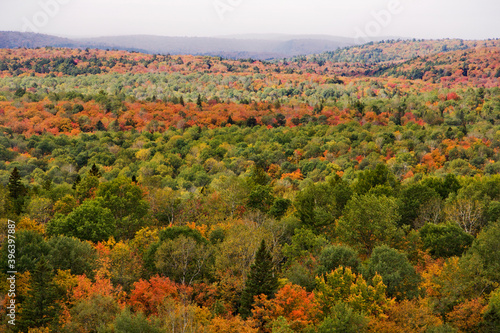 Autumn - Algonquin Park, Canada - 2013