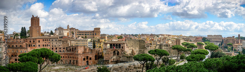 Panorama of ancient Ruins. Rome.September 2019.