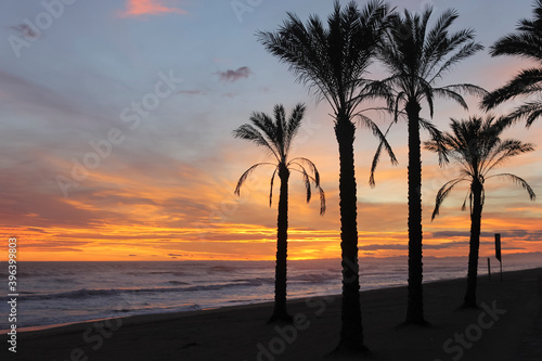 Amazing beach landscape with palms at sunset in Mediterranean Sea.Summer and holidays concept.