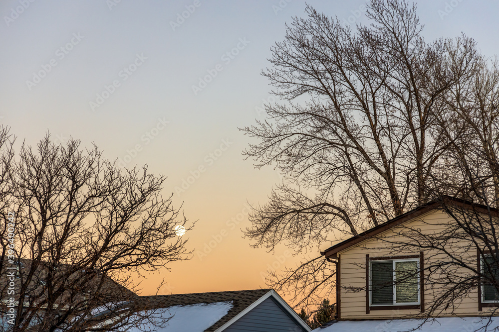 The full moon in the evening sky over the roofs and naked trees. The full moon in the evening sky over the roofs and naked trees.