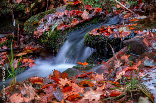 Bachlauf im Herbst
