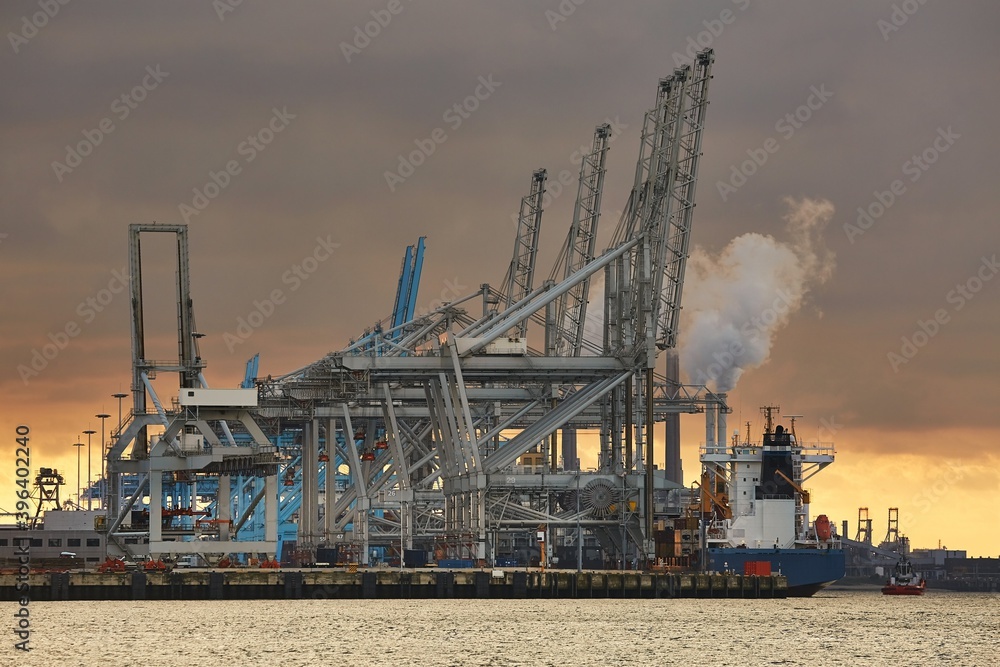Cranes of a container shipping terminal